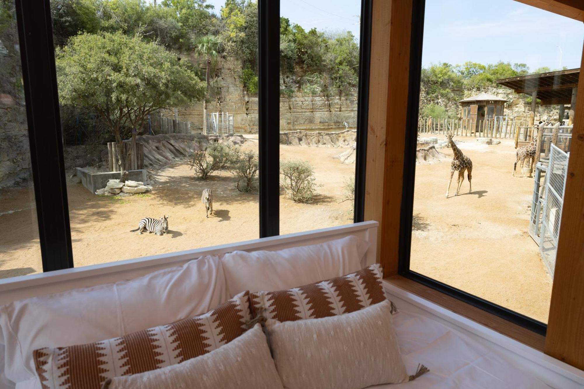 San Antonio Zoo - Spekboom Giraffe Lodge ภายนอก รูปภาพ